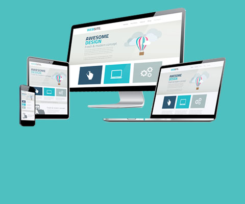 Sunshine Coast Web Designers